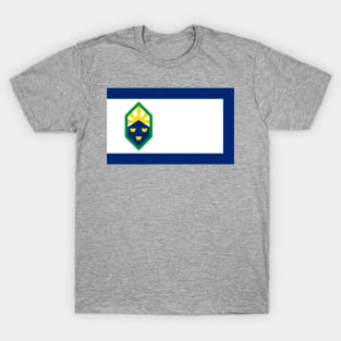 Flag of Colorado Springs Colorado T-Shirt